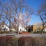 Az &uacute;j &eacute;p&uuml;letegy&uuml;ttes